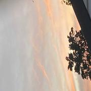 La Couarde-sur-Mer 13/05/2021