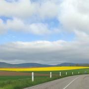 Schwenheim 13/05/2021