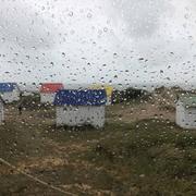 Gouville Plage 13/05/2021