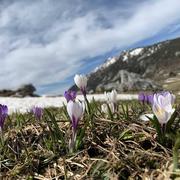 Thorens Glières- Pays De Fillière 14/05/2021