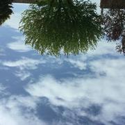 Mondidier 15/05/2021