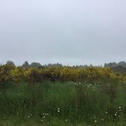 Jumilhac-le-Grand 16/05/2021