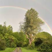 Boissy-Lamberville 16/05/2021