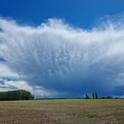 Oussoy-en-Gâtinais 21/05/2021