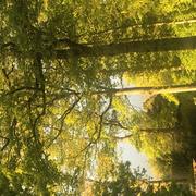 La Ferté-Frênel 22/05/2021