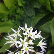 Beaucourt 22/05/2021