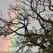 Quatremare 22/05/2021