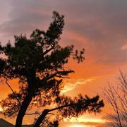 Saint-Jean-de-Védas 23/05/2021