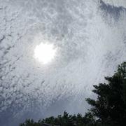 Sommières 23/05/2021