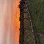 Petite Camargue 24/05/2021