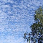 Ozouer-le-Voulgis 28/05/2021