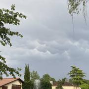 Clos Fourcaud 29/05/2021