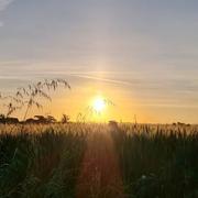 Verdun-sur-Garonne 05/06/2021