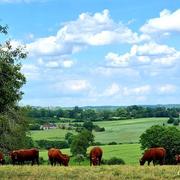 Longny-au-Perche 10/06/2021