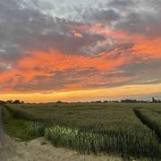 Courbépine 10/06/2021