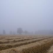 Hédé-Bazouges 08/07/2010