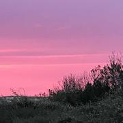 Plage Sud 19/06/2021