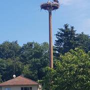 Allenjoie 19/06/2021