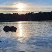 Montsauche-les-Settons 21/06/2021