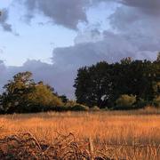 Uzay-le-Venon 22/06/2021