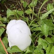 Sainville 22/06/2021