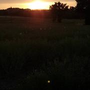 Brive-la-Gaillarde 24/06/2021