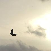 Villeneuve-Minervois 27/06/2021