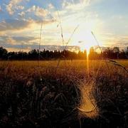Villandry 27/06/2021