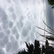 Montceaux 27/06/2021