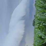 Villeneuve-sur-Allier 28/06/2021