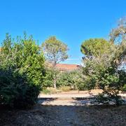 Calvisson 29/06/2021