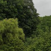 Wadelincourt 30/06/2021