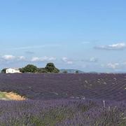 Valensole 02/07/2021