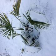 Saint-Denis-en-Val 02/07/2021