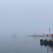 Porquerolles 04/07/2021