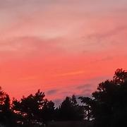 Tourtoule 17/07/2021