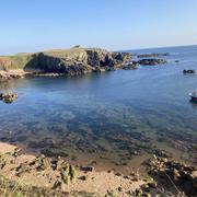 Île d'Yeu (Vendée) 17/07/2021