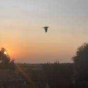 Ars-en-Ré 21/07/2021