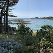 Île-de-Batz 22/07/2021