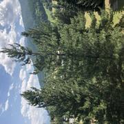 Serre Chevalier 1400 23/07/2021