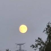 Thin-le-Moutier 26/07/2021