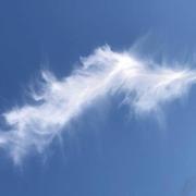 Saint-Denis-en-Val 27/07/2021