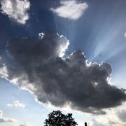 Uzay-le-Venon 28/07/2021