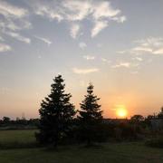 Uzay-le-Venon 28/07/2021