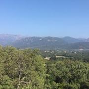 Pinarello 29/07/2021