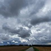 Saint-Martin-du-Manoir 01/08/2021