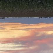 Fessenheim 02/08/2021