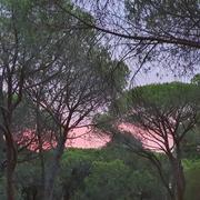 Plage de la Pinède 05/08/2021