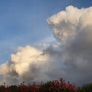 Saint-Martin-du-Manoir 07/08/2021