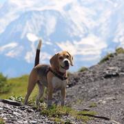 Sallanches 13/08/2021